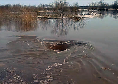 водяная яма что это. Смотреть фото водяная яма что это. Смотреть картинку водяная яма что это. Картинка про водяная яма что это. Фото водяная яма что это