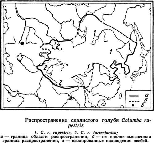 Амброзия в россии карта